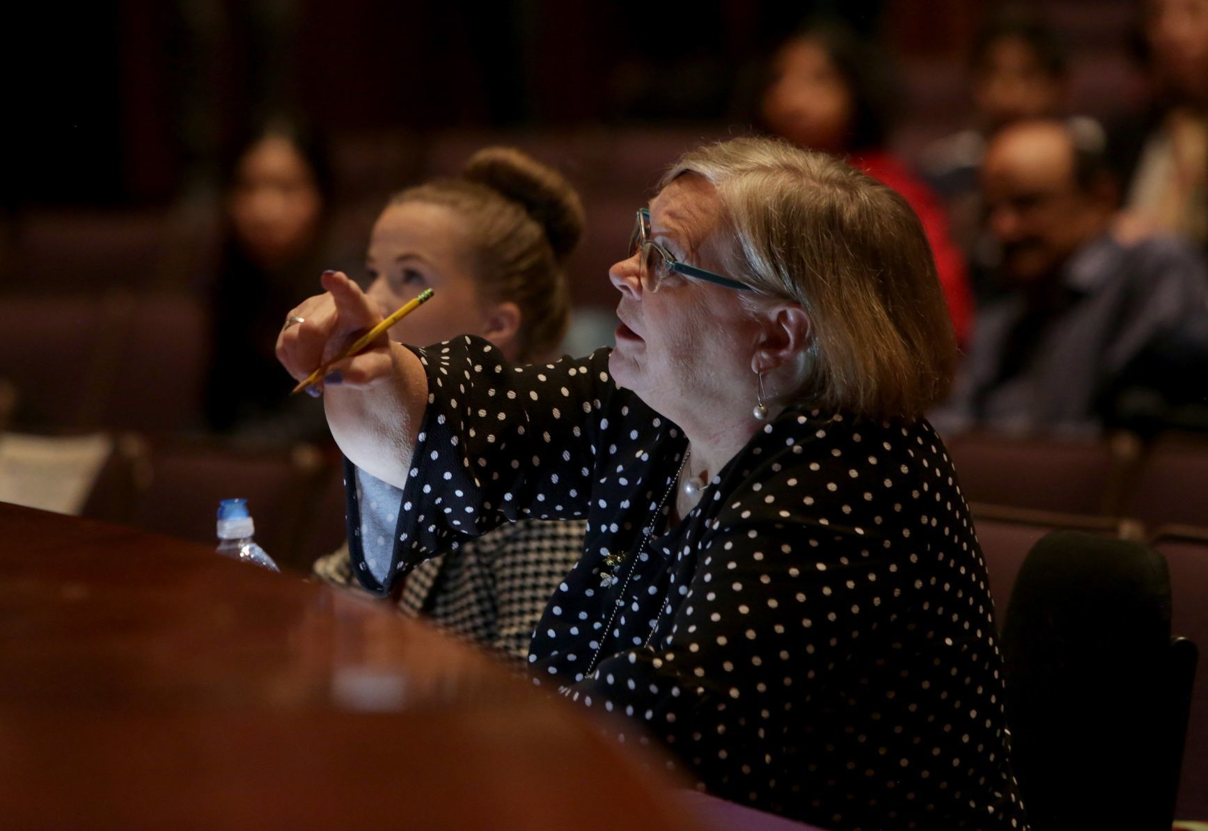 The 33rd Annual St. Louis
Post-Dispatch Spelling Bee